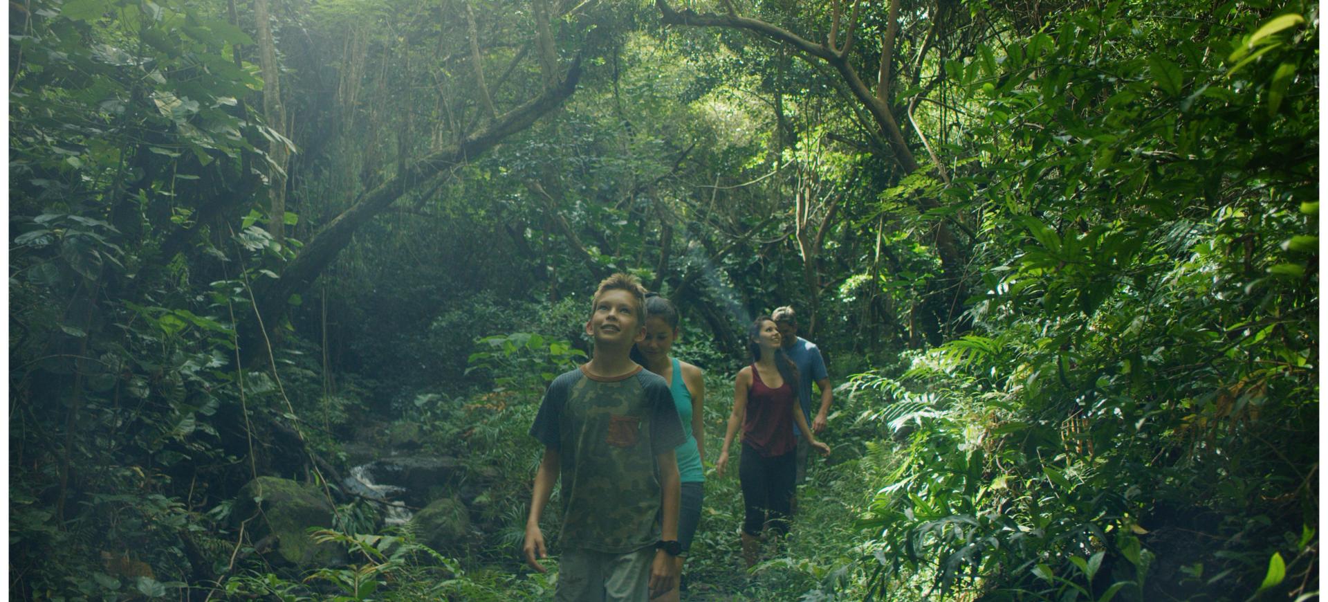 Family hiking through a rainforest and exploring on the island of Kauai Hawaii