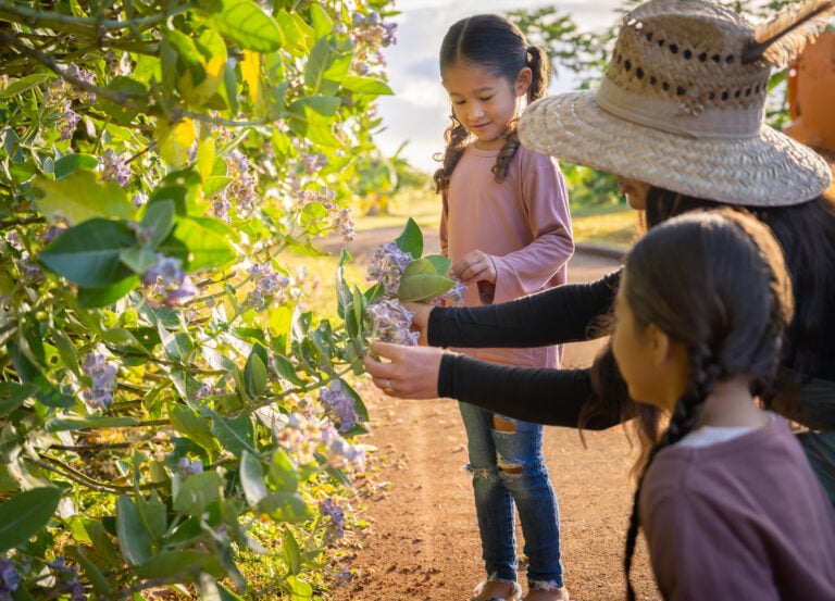 Family exploring The Farm at Hokuala and the butterfly trees
