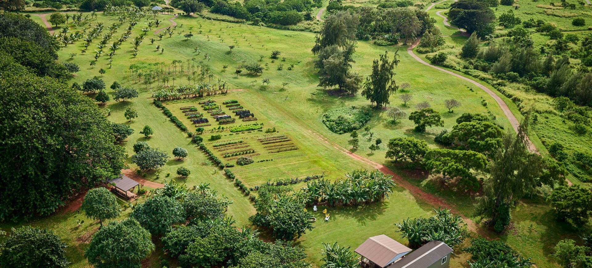 Aerial view of The Farm at Hokuala, an organic 16.5 acre farm within the Hokuala resort on Kauai