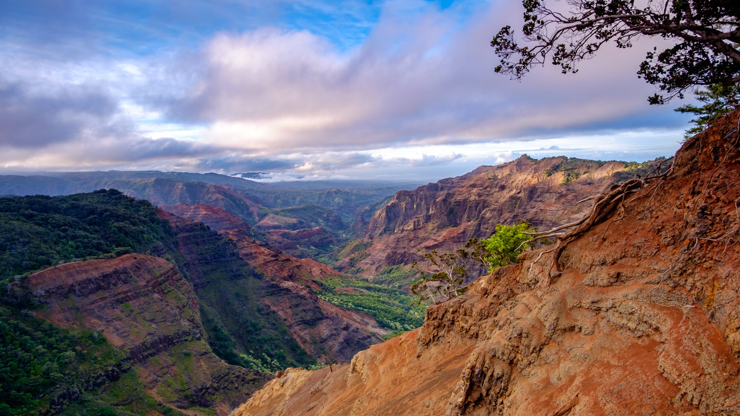 Timbers Kauai Waimea Canyon